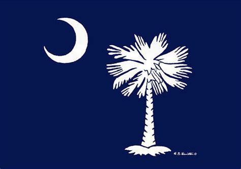 Betsy Drake Palmetto Moon South Carolina Flag 30 In By 50 In Comfort