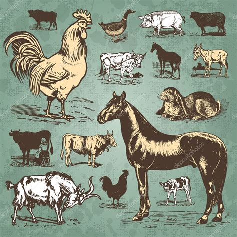 Farm Animals Vintage Set Vector — Stock Vector © Milalala 5351150