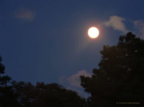 Full Sturgeon Moon Rises On August 22nd Positively Moonstruck
