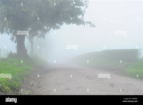 Foggy Country Road In A Cold Morning Stock Photo Alamy