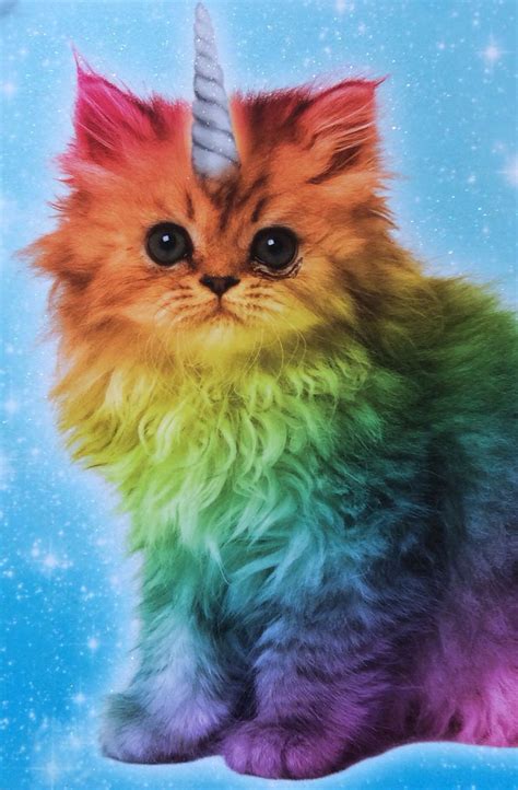 Magical Unicorn Rainbow Kitten Unicorn Cat Cute Cats Rainbow Cat