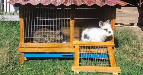Diy Rabbit Cage Box Fan Oreo Bunny Home Appliances Ana Ideas