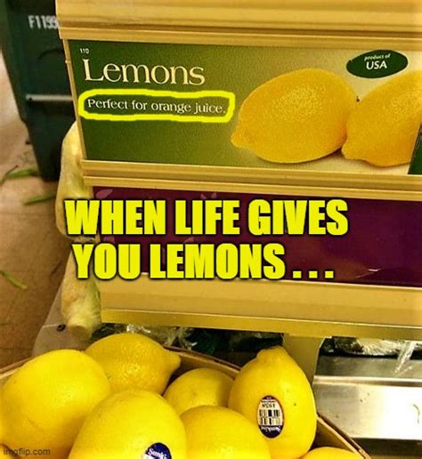 When Life Gives You Lemons Imgflip