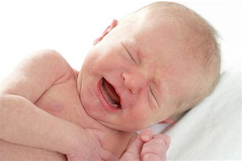 Newborn Baby Boy Crying Photograph By Ruth Jenkinsonscience Photo Library