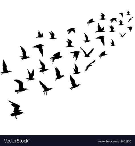 Silhouettes Of Flying Birds Royalty Free Vector Image