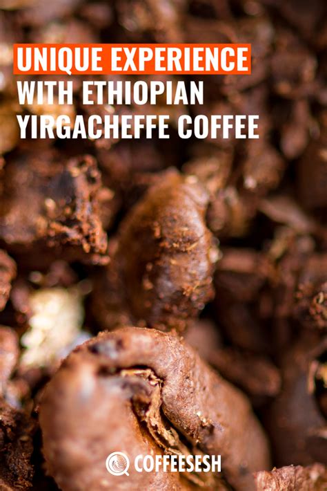 Unique Experience With Ethiopian Yirgacheffe Coffee Via Coffeesesh