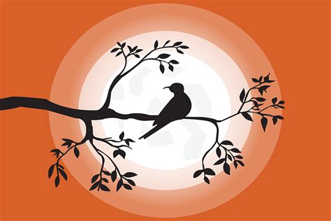 100 Free Parrot And Bird Vectors Pixabay