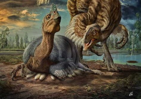 ¿cómo Hacían Los Dinosaurios Para Incubar Los Huevos Sin Aplastarlos