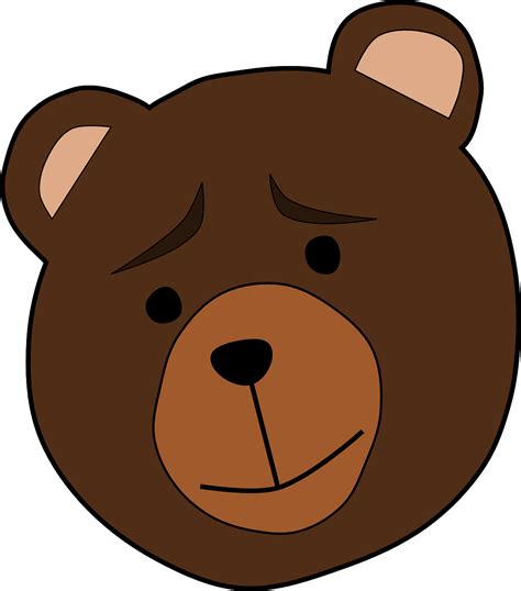 Animal Bear Face Free Vector Graphic On Pixabay