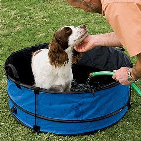 21 best dog bath tub images on Pinterest | Dog bath tub, Bath tubs and