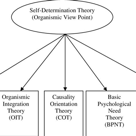 3 Self Determination Theory Ryan And Deci 2000a Download