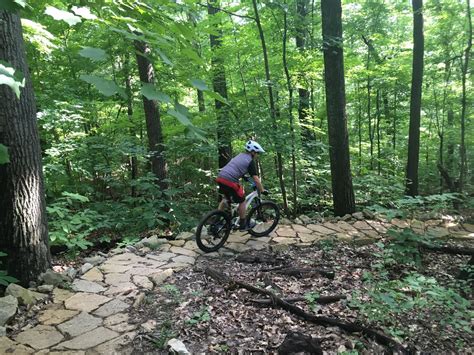Waverly Park Mountain Bike Trail In Louisville Kentucky Directions