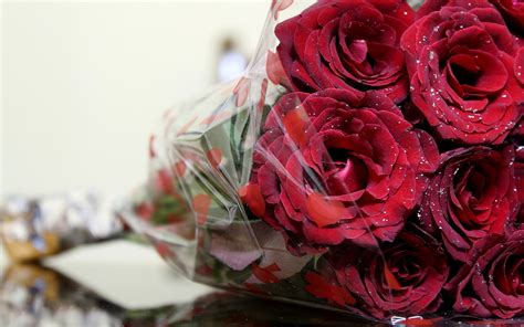 roses romantic love - HD Desktop Wallpapers | 4k HD