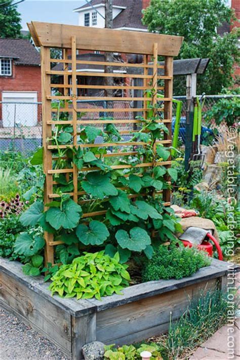 Backyard Vegetable Garden Ideas Diy