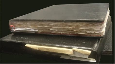 The book discusses how the black man has been physically, mentally, emotionally, financially, socially, and spiritually dismantled and dismembered by white supremacy in the united states and how everyone from lbj, to nixon, to reagan, to joe biden and the clintons had and continues to have a part in the assault on black men. The Black Books 1913-1932 - Philemon Foundation