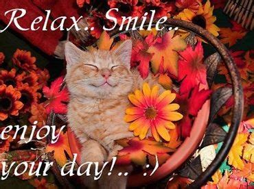 Search 123rf with an image instead of text. Enjoy Your Day Pictures, Photos, and Images for Facebook ...