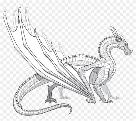 Wings Of Fire Seawing Hybrid Coloring Pages Coloring Pages My Xxx Hot Girl