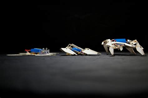 Origami Inspires Rise Of Self Folding Robot The New York Times