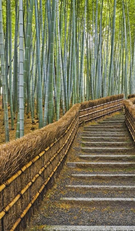 Free Download Download Tablet Wallpapers Amazon Kindle Fire Bamboo