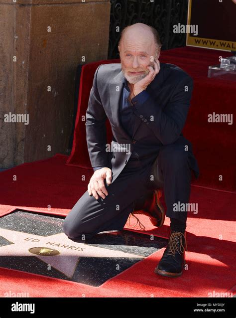 ed harris honored with a star on the hollywood walk of fame in los angeles a ed harris star