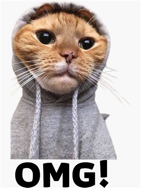 Omg Cat Meme Sticker For Sale By Mony127 Redbubble