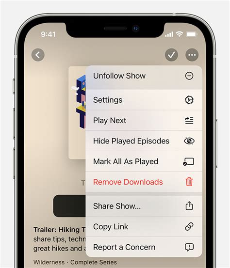 Follow And Play Shows In Apple Podcasts On Iphone And Ipad Apple Support