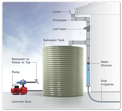 Buyers Guide For Selecting The Right Rainwater Tank Pump Just Water Pumps