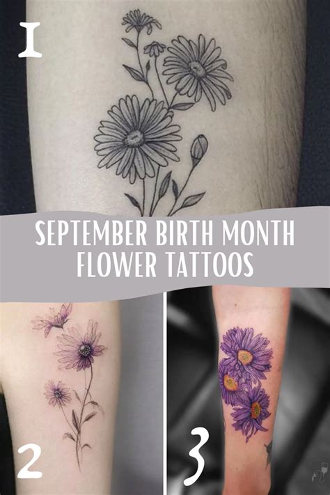 Aster September Birth Flower Birth Month Flower Outli