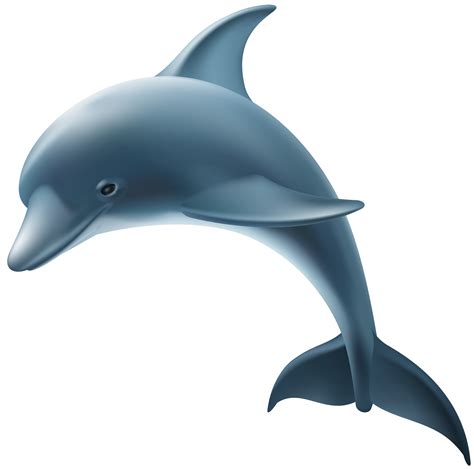 Dolphin Png Clip Art Image Gallery Yopriceville High Quality Free