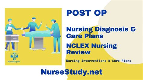 Post Op Nursing Diagnosis And Nursing Care Plan Nursestudynet