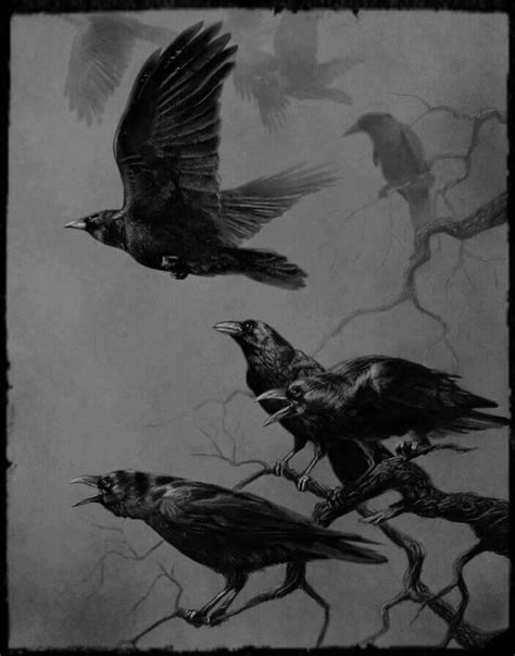 Vivi Ann👑 Viviannja Twitter Raven Art Crow Crow Art