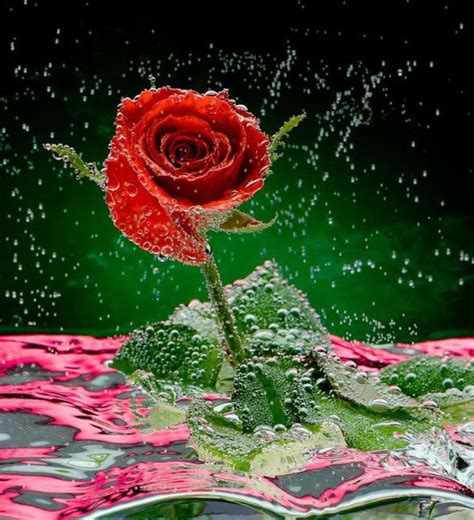 Maybe you would like to learn more about one of these? katieyunholmes: zedge love quotes wallpapers