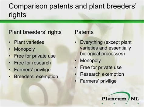 Ppt Breeding Business A Report On Patents And Plant Breeders
