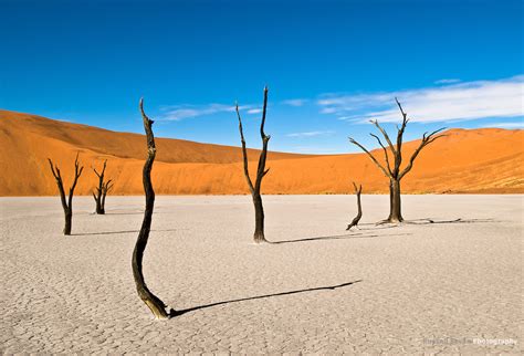 Dead Desert Trees At Dead Vlei Russell Bevan Photography