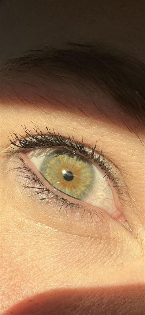 what color are my eyes r whatismyeyecolour