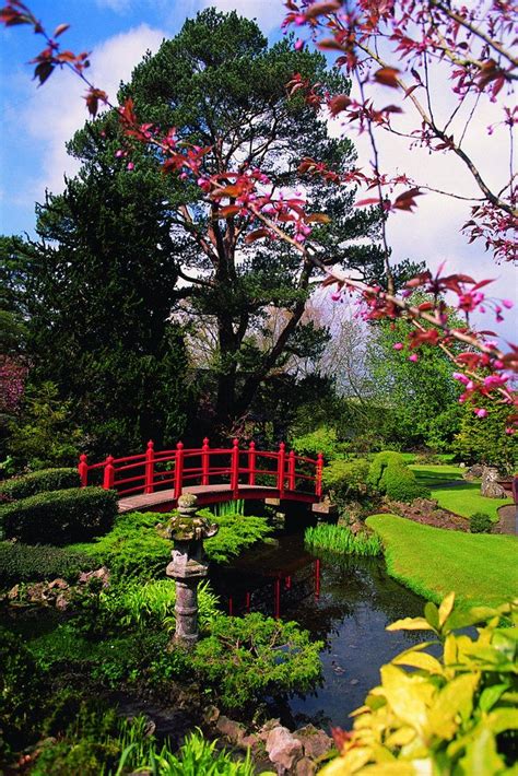 Japanese Garden At The Irish National Studs Kildare Ireland
