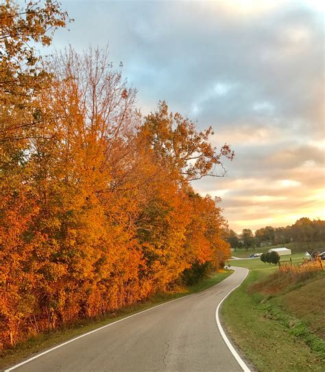 Kentuckys Fall Colors Shine Brightly Nanahood