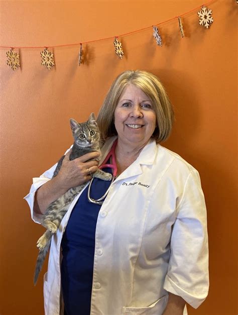 Our Veterinary Team Springfield Mo Healing Paws Veterinary Clinic