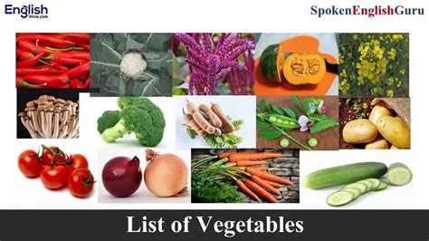 Gsts means guru sandaran terlatih siswazah. Vegetable Names in English (सब्जियों के नाम) - Spoken ...