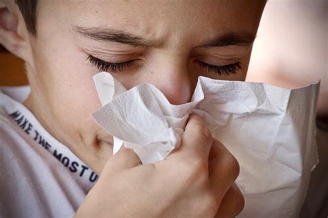 What Makes Us Sneeze Neuroscience News