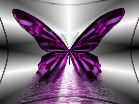 73 Purple Butterfly Backgrounds On Wallpapersafari