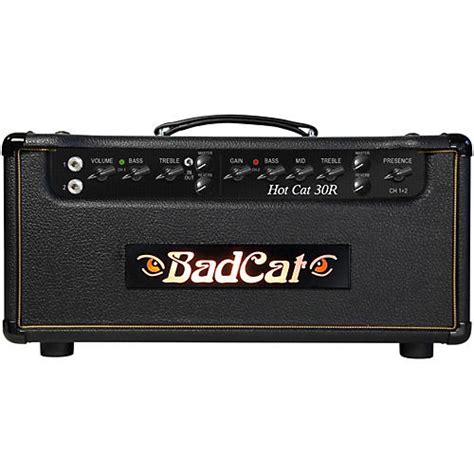 Bad Cat Hot Cat 30w Guitar Amp Head With Reverb Musicians Friend
