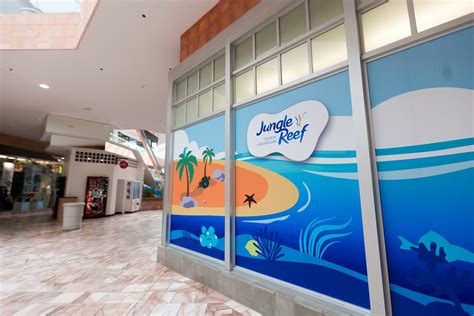 Sneak peek inside Jungle Reef aquarium at The Shoppes at Solano