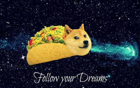 1080 X 1080 Doge This Doge Taco 25 Adorable Dogs Dressed Like Tacos Popsugar Latina Heres A