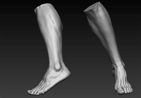 12 Male Feet 3d Model Cgtrader