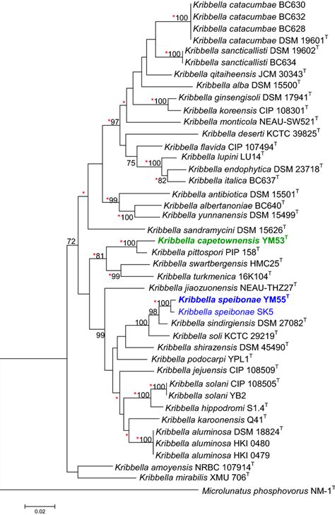The Concatenated GyrB RpoB RecA RelA AtpD Gene Phylogenetic Tree For Download Scientific
