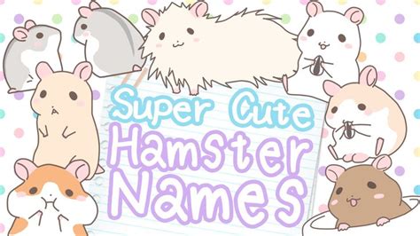 🐹 Hamster Name Ideas For Every Kind Of Hamster 🐹 Over 300 Names