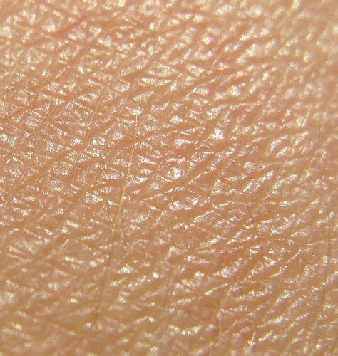 15 Skin Textures Ideas Skin Textures Skin Texture Photography