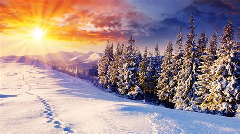 Winter Sunset Wallpapers Wallpaper Cave