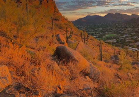 When Is The Best Time To Visit Scottsdale Az
